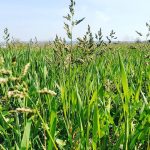 241195652_393895625485057_5839155393178085050_n