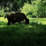 241197854_393942162147070_2694207326886843754_n