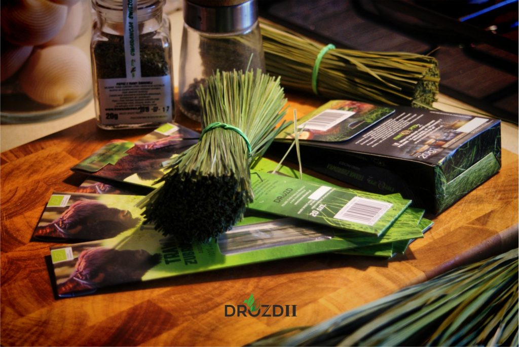 Trawa żubrówka działanie na zdrowie i urodę